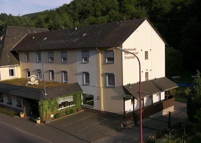 Gasthuis Dampfmuehle